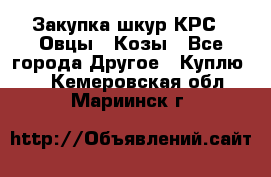 Закупка шкур КРС , Овцы , Козы - Все города Другое » Куплю   . Кемеровская обл.,Мариинск г.